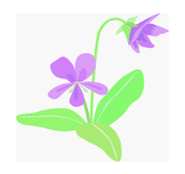 挿絵